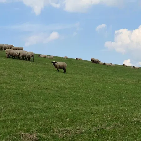 Holiday home Bauernhaus Sehestedt *